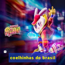 coelhinhas do brasil